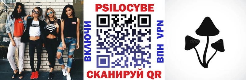 цена   Дрезна  Галлюциногенные грибы мухоморы 